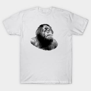 Orangutan T-Shirt